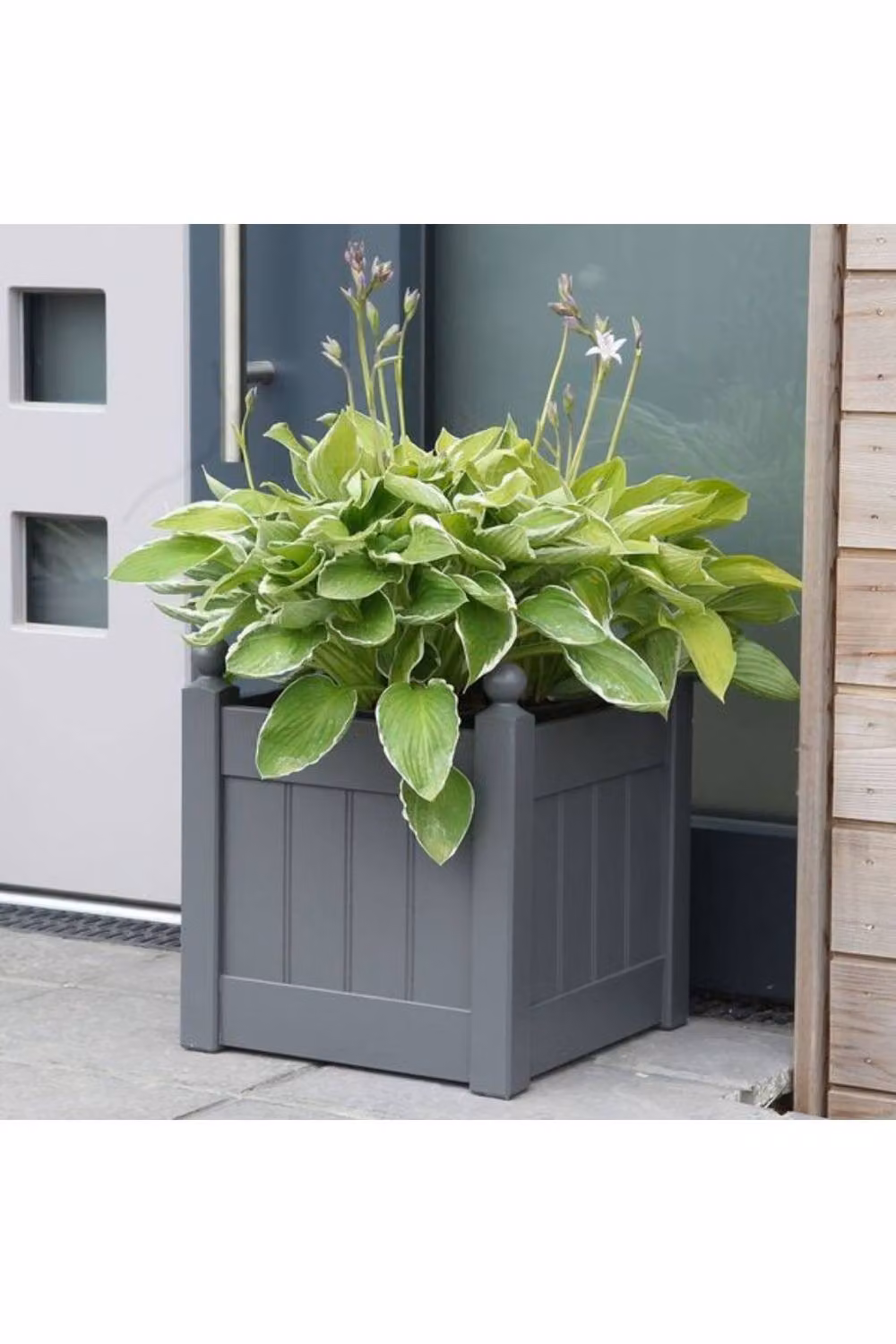 AFK Small Classic Painted Tub Planter in Charcoal Grey – 2