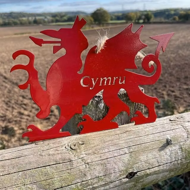 Poppyforge Red Metal Hanging Welsh Dragon Garden Art, W: 20 cm, H: 14 cm