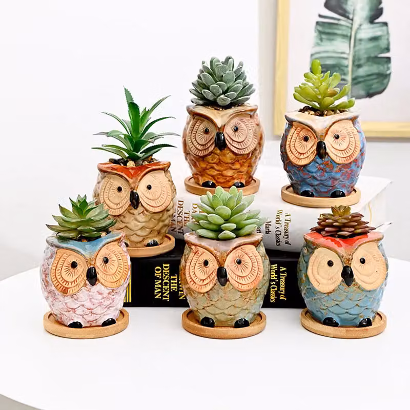 Simpa 6-Piece Big Eye Owl Multicolour Ceramic Plant Pots with Bamboo Bases – 2
