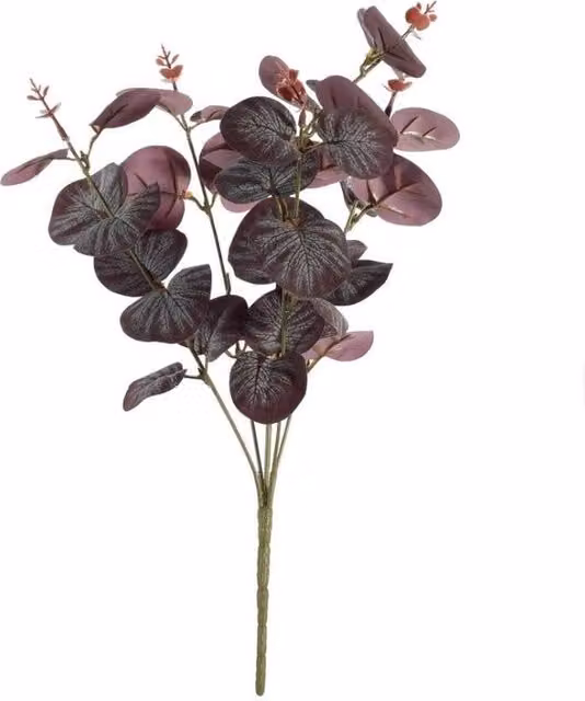 KDMD Essential Purple Eucalyptus Bush, 5 Pack
