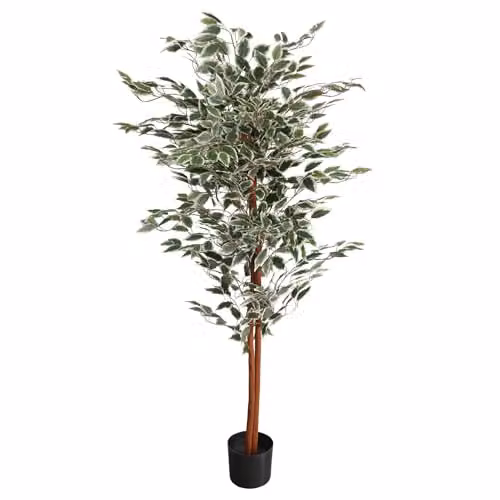 Leaf UK Artificial Ficus Tree, Green, H 160 cm x W 80 cm x D 80 cm