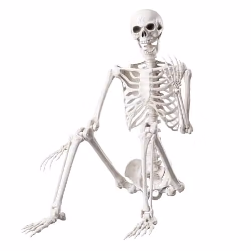 Yezi Halloween Life Size Poseable Skeleton in White, Height: 165 cm