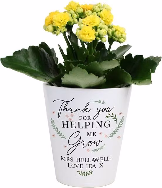 Personalised Memento Company Personalised Thank You For Helping Me Grow Ceramic Plant Pot in White