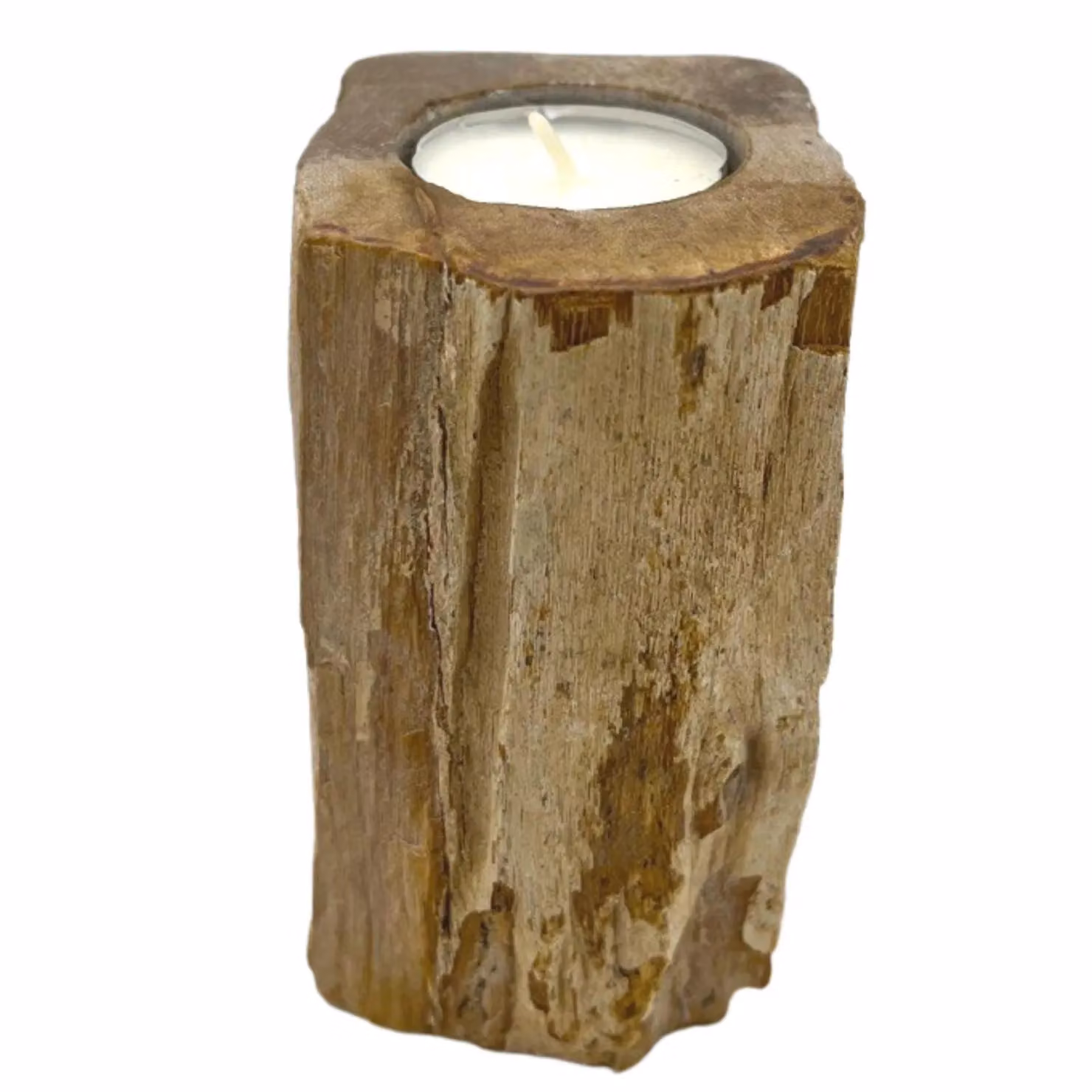 Ancient Wisdom Petrified Wood Candle Holder in Brown – 2