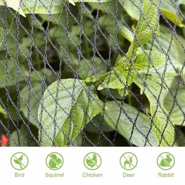 KORVIXA Black Anti Bird Netting with 50 Cable Ties, W: 10 m, H: 4 m – 1