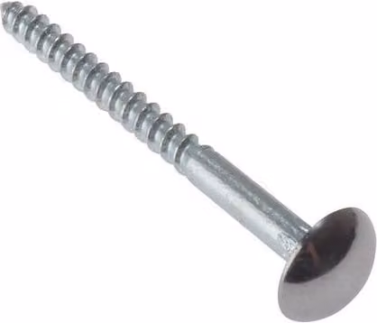 Forgefix Silver Chrome Domed Top Slotted Self-Countersinking Mirror Screws, Pack of 10, Length: 2.54 cm