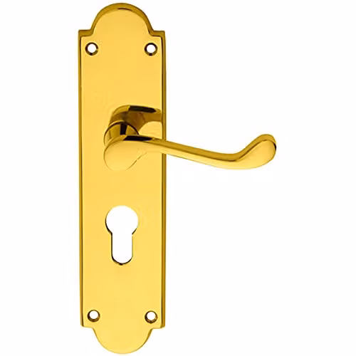 Loops Pair Victorian Scroll Lever on Euro Lock Backplate in Polished Brass
