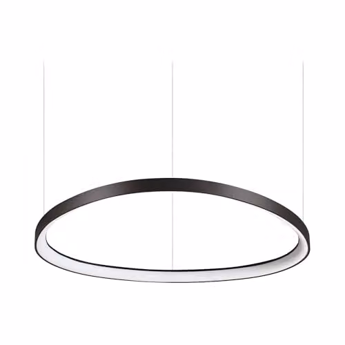 Netlighting Gemini LED Suspended Ring Pendant Light Black, 3000K Warm White