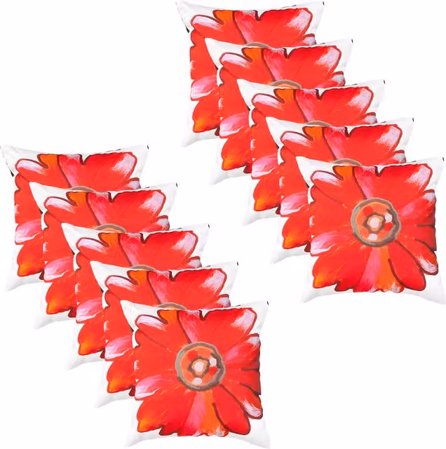 Gardenista Daisy Red Floral Printed Outdoor Scatter Cushion Set of 10