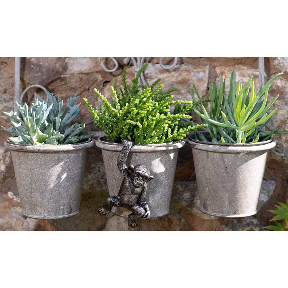 Jardinopia Chimpanzee Hanging Plant Pot Hanger, Bronze, W7 x D11 x H4.5 cm – 4
