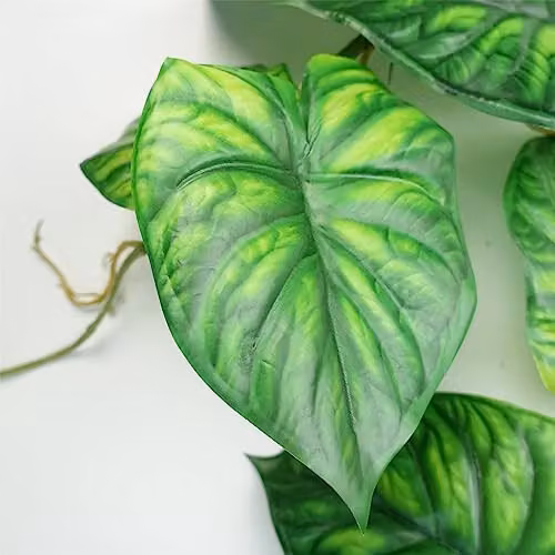 Leaf UK Alocasia Dragon Scale Artificial Trailing Hanging Plant in Green, Length: 120 cm – 3