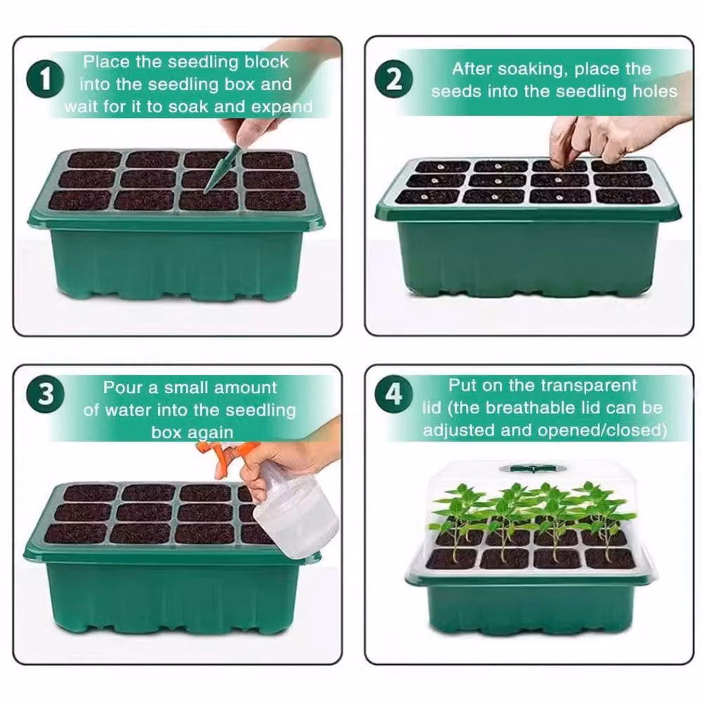 FLAVORA 10 Pack 120 Cell Propagator Growing Aid in Green and Transparent – 3