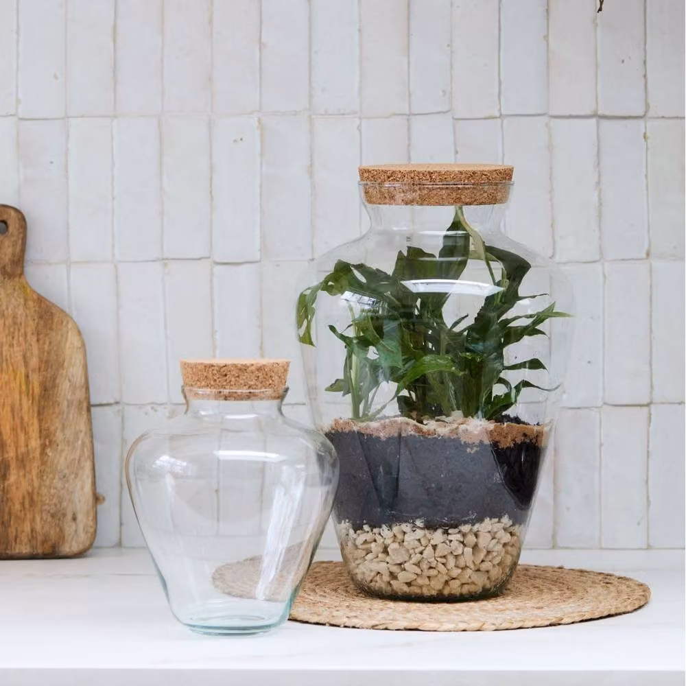 Ivyline Teardrop Glass Terrarium with Cork Lid, Clear, H: 22.5 cm, D: 18 cm – 2