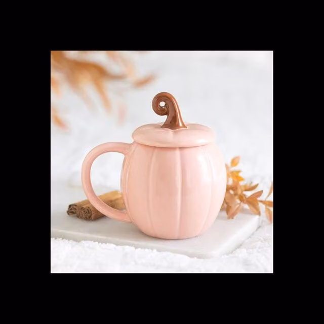 KDMD Pink Curly Pumpkin Lidded Mug in Dusty Pink – 1