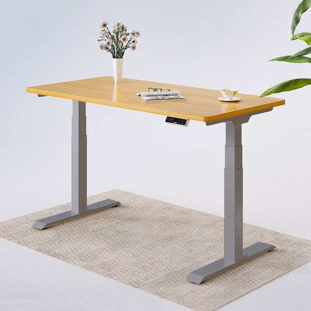 FlexiSpot E7 Electric Height Adjustable Standing Desk with Dual-Motor Lifting System, Silver/Grey, W: 120 cm, D: 60 cm