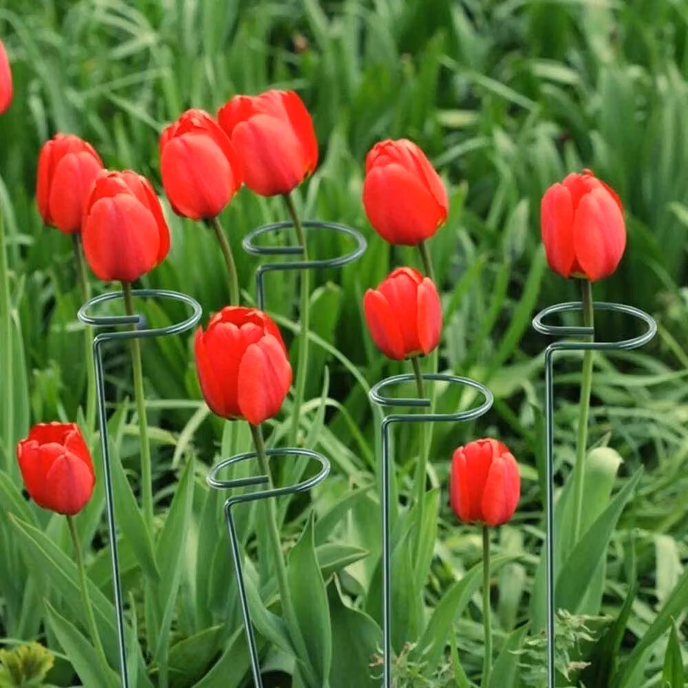 SPETLEK 10 Pack Green Steel Metal Plant Stem Supports for Ornamental Gardens – 2