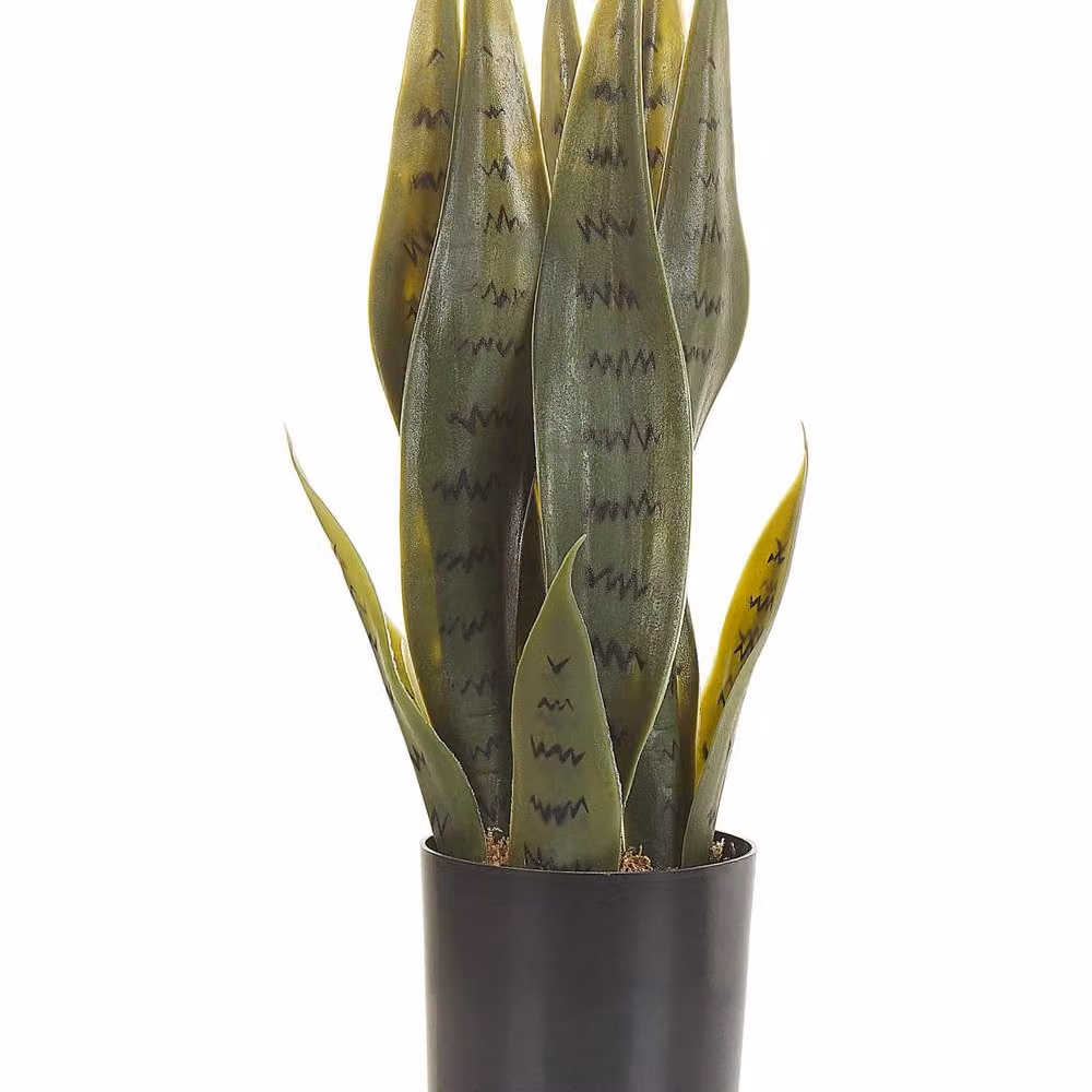 Wyld and Coco Artificial Green Snake Plant in a Black Concrete Tabletop Pot, Height: 40 cm – 2