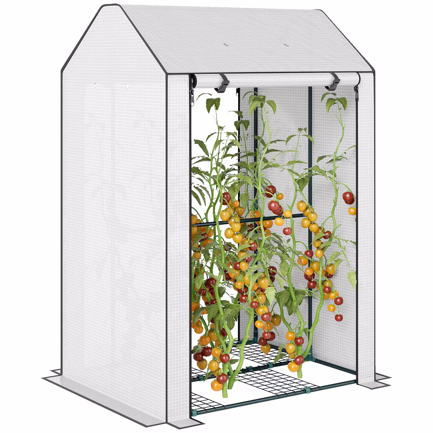 OUTSUNNY Mini Greenhouse with Shelves and Roll Up Door, White, W/D/H: 100 x 80 x 150 cm – 2