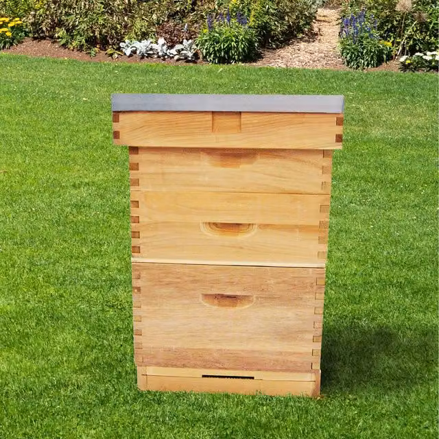 Actiasbee Brown Cedar Beehive for Bee Keeping