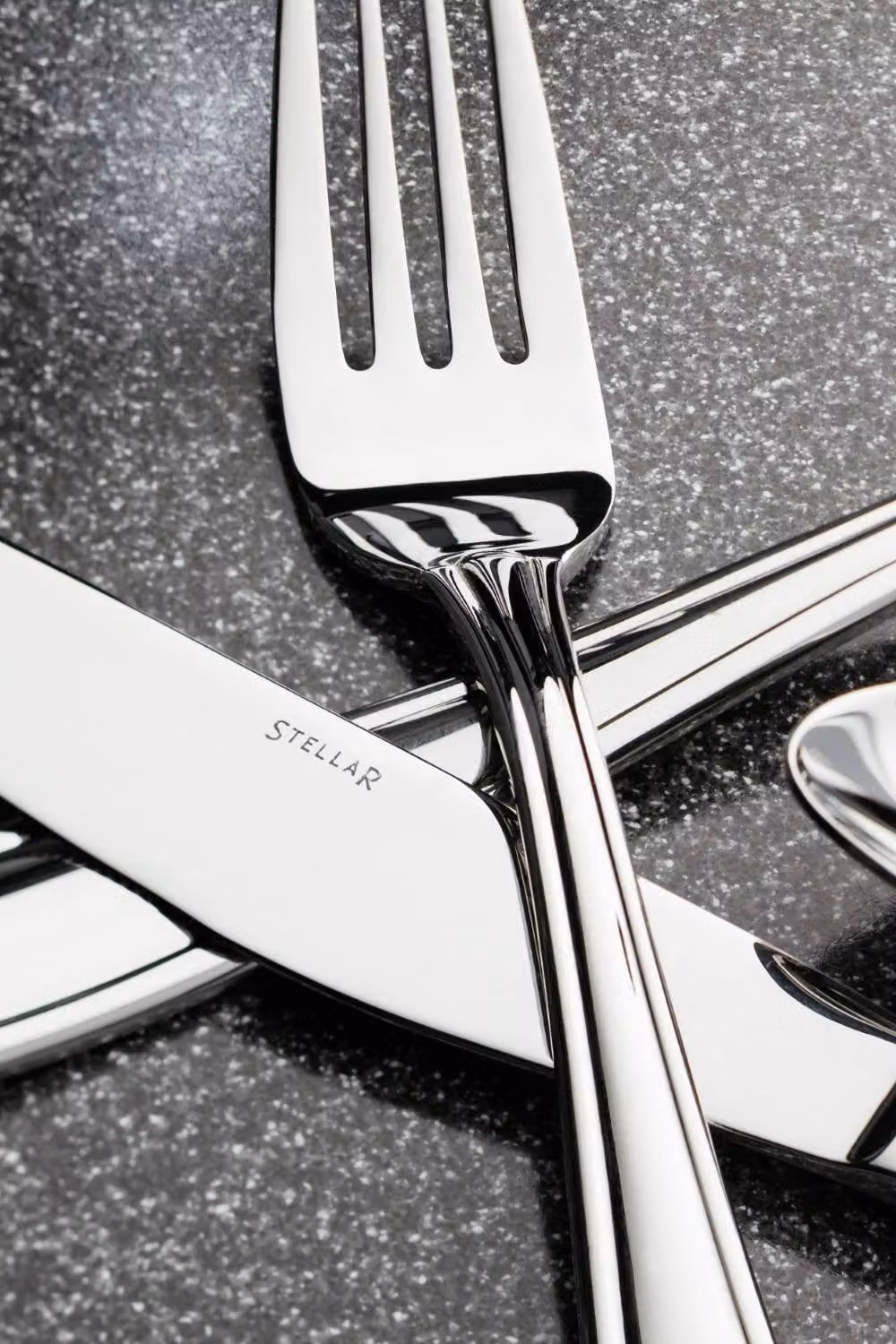 Stellar Sterling 24-Piece Polished Stainless Steel Cutlery Set in Silver – 3