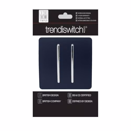 Trendi Blue Flush Plastic 2 Gang Light Switch – 2