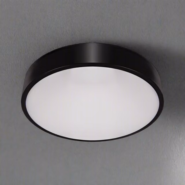 CGC Luna Black Round LED Surface Mount Ceiling and Wall Light, 24W