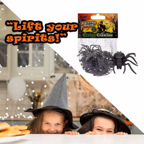VFM e-Store Halloween Creepy Crawlies Spiders Party Pack in Black – 6