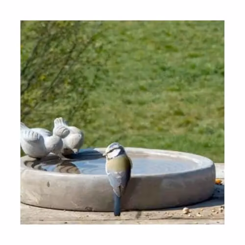 Esschert Design FB297 Concrete Tabletop Bird Bath in White and Grey – 2