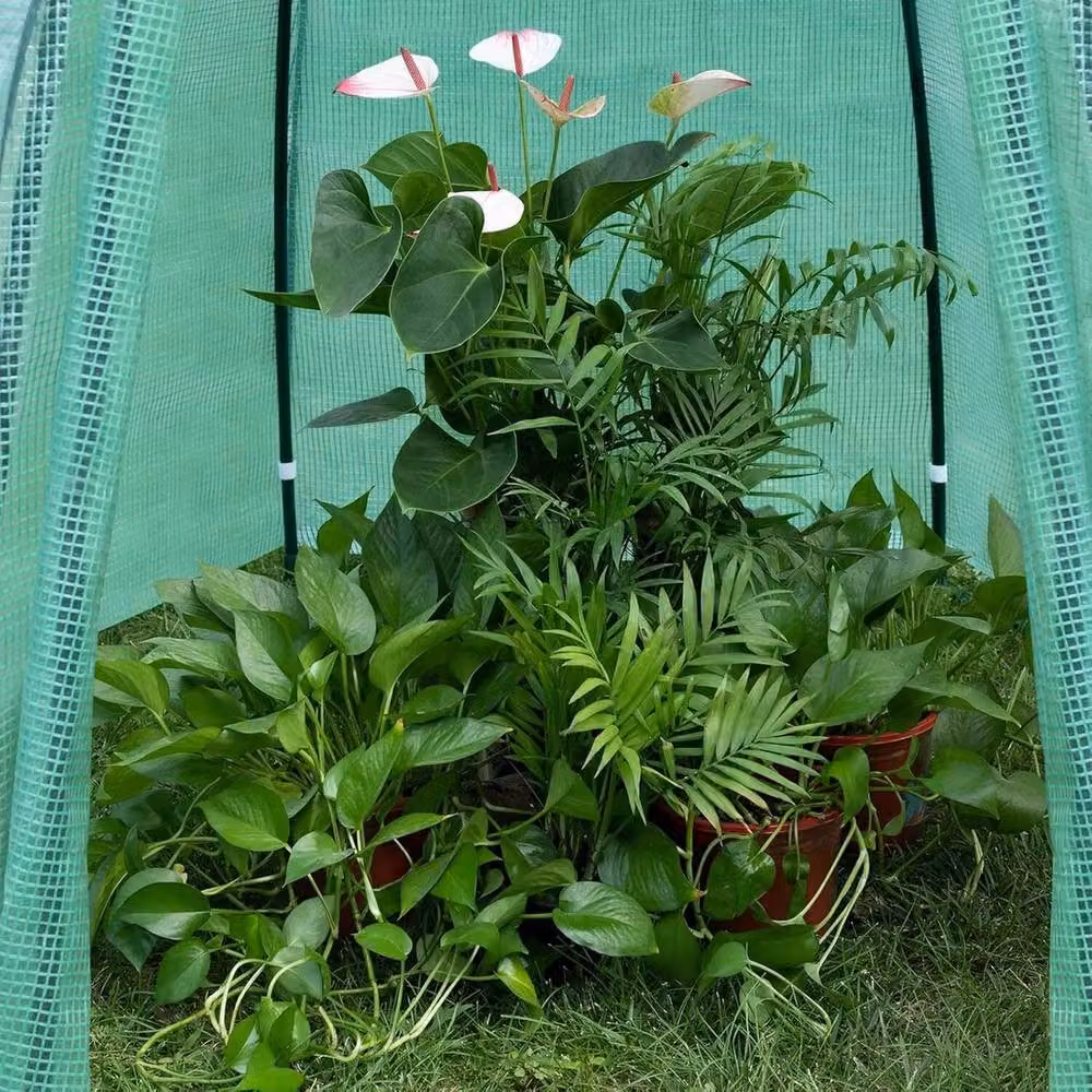 NESTLUNE Green Outdoor Garden Greenhouse for Tomato and Vegetable Plants, W/D/H: 100 x 15 x 15 cm – 3