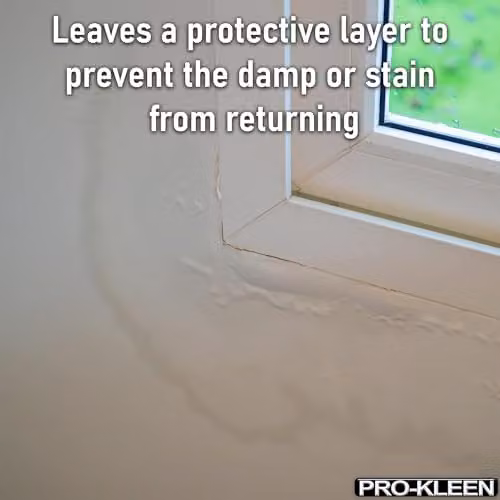 Pro-Kleen Damp and Stain Block Spray Paint Primer in Matt White, 4 x 500ml