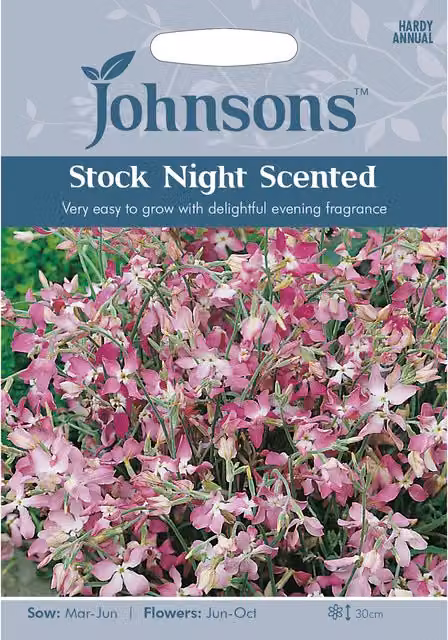 Johnsons Pink Night Scented Stock Flower Seeds