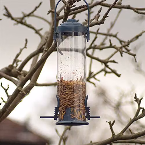 St Helens Home & Garden Hanging Wild Bird Feeder with 2 Feeding Points and Perches, Transparent – 2
