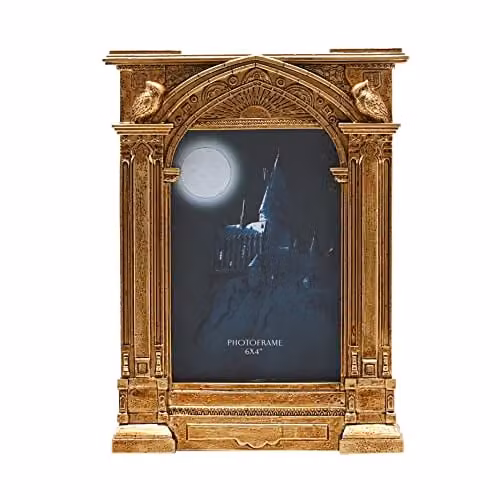Widdop and Co Harry Potter Alumni Gold Rectangular Single Photo Frame