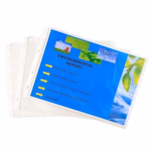 Exacompta 20 A4 Punched Pockets with Bevelled Corners in Clear Plastic