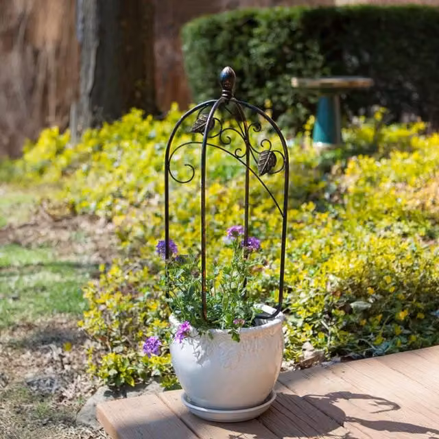 Primrose Scroll & Ivy Metal Pot Trellis Topper in Bronze, Height: 60 cm