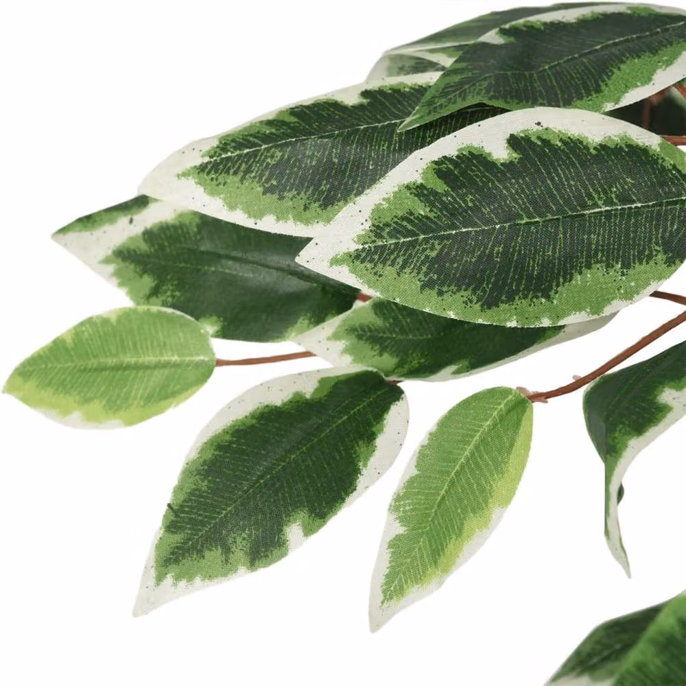 Berkfield Home Artificial Ficus Tree in Green, Height: 120 cm – 2