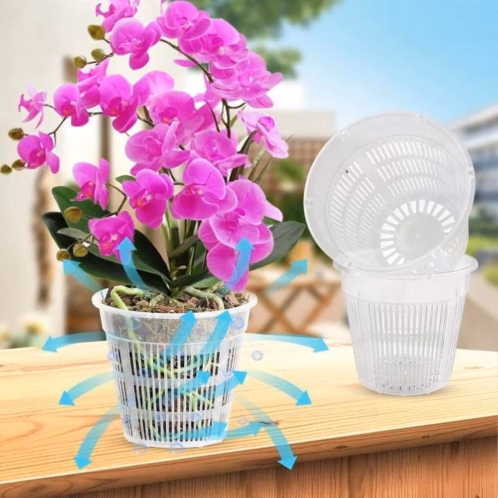 NESTLUNE Set of 10 Transparent Plastic Orchid Drainage Planters – 3