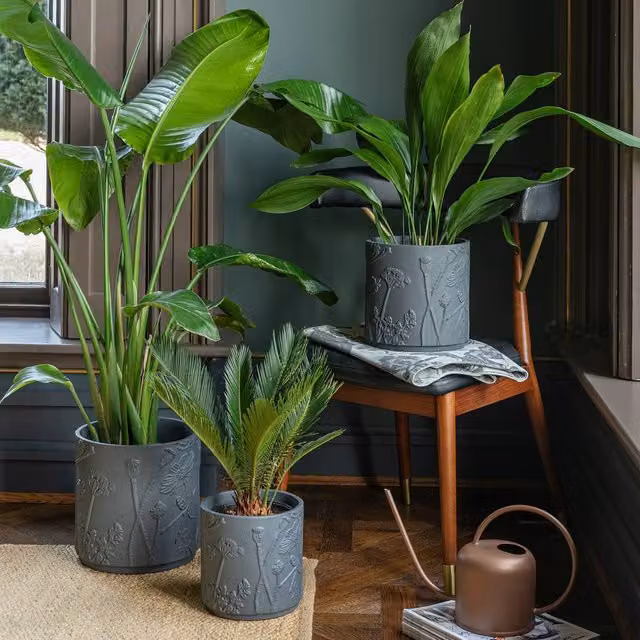 Ivyline Kew Stoneware Meadow Planter in Midnight Grey, Diameter: 18 cm