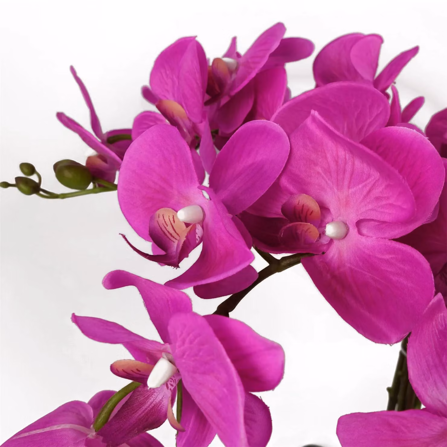 Botanik Realistic Artificial Pink Orchid Plant in Black Pot, Height: 85 cm – 4