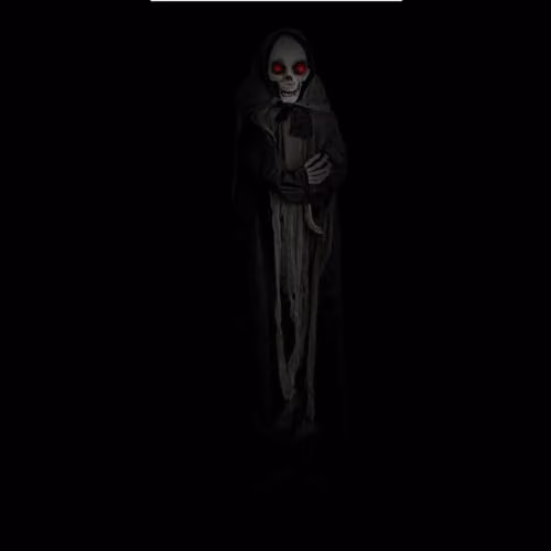 VFM e-Store Animated Skeleton Ghost Halloween Decoration in Black – 6