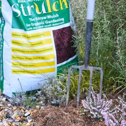 Thompson and Morgan Strulch Mineralised Straw Garden Mulch, Natural Brown Straw, 100 l – 2