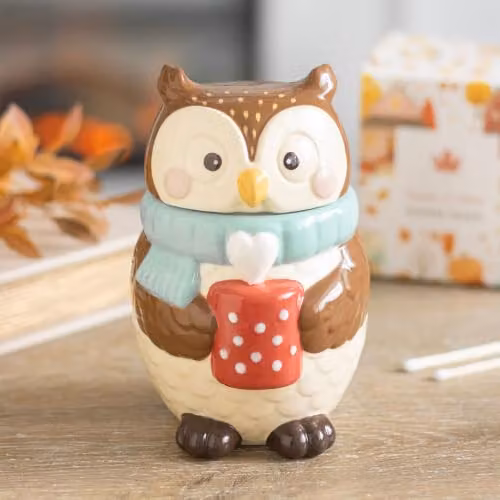 Something Different Wholesale Owl Shaped Ceramic Oil Burner in Multicolour and Brown – 1