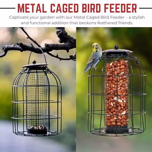 Samuel Alexander Pack of 2 Black Metal Wild Bird Hanging Nut Feeders with Squirrel Guard – 8