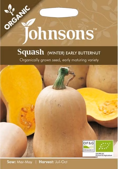 Johnsons Organic Winter Early Butternut Squash Vegetable Seeds, Orange