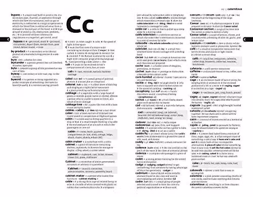 Collins English Dictionary and Thesaurus Essential Paperback, Blue – 3