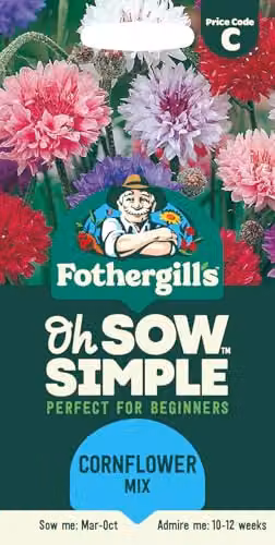 Mr Fothergill's Oh Sow Simple Cornflower Mix Blue and Multicolour Flower Seeds