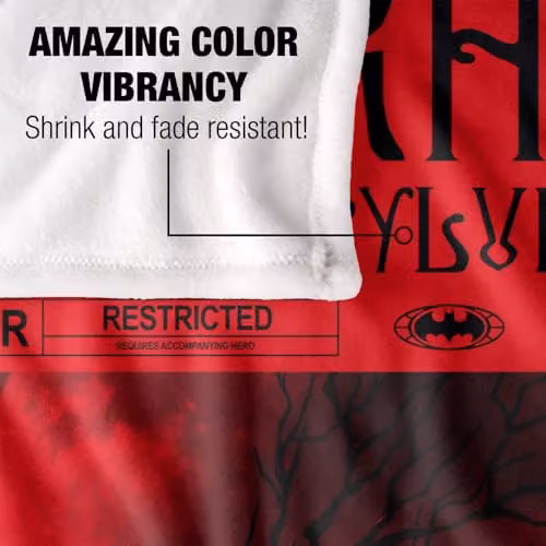 LOGOVISION Batman Arkham Asylum Silky Touch Super Soft Fleece Throw Blanket, Multicolour, W: 127 cm x L: 152.4 cm – 3
