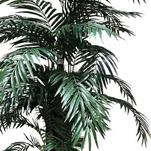 Leaf Green Artificial Fire Retardant Areca Palm Tree, Height: 210 cm – 5