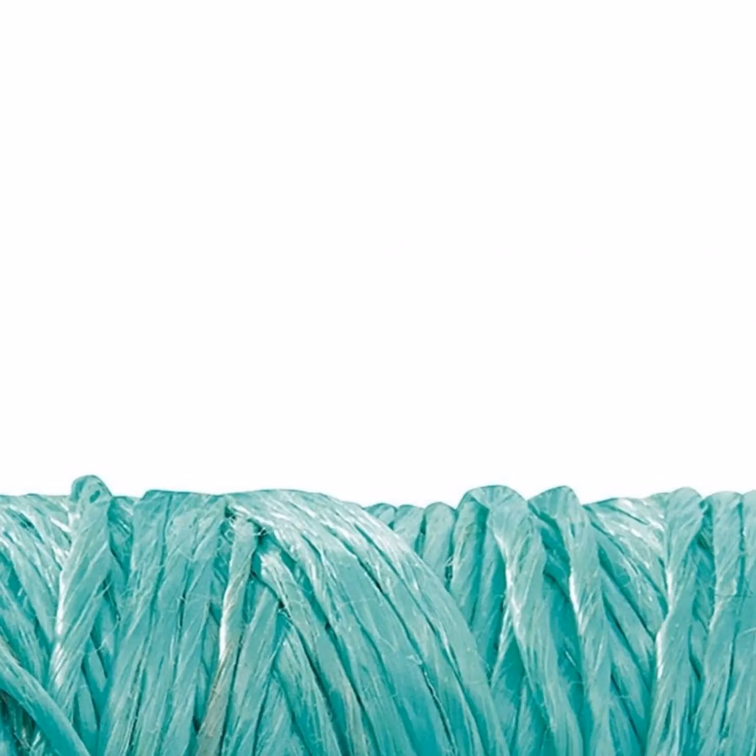 Gardman Rot Resistant Plastic Twine, Multicolour, 100g – 2