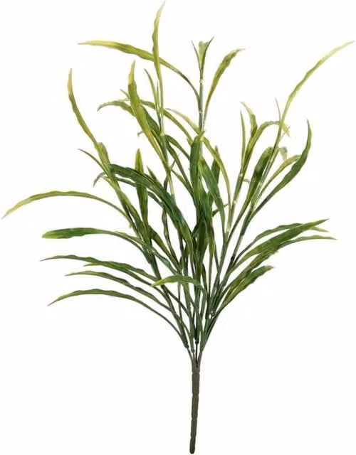 KDMD UV Exterior Junglist Fern Bush in Green